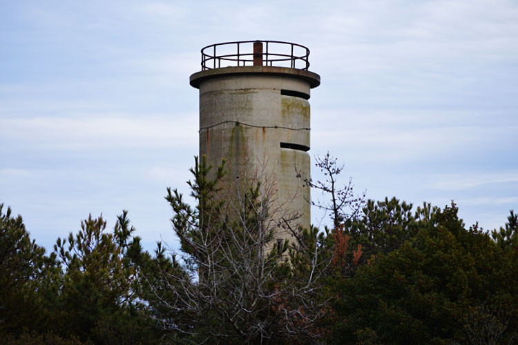 FCT #4 at Tower Road Dealaware Seashore State Park